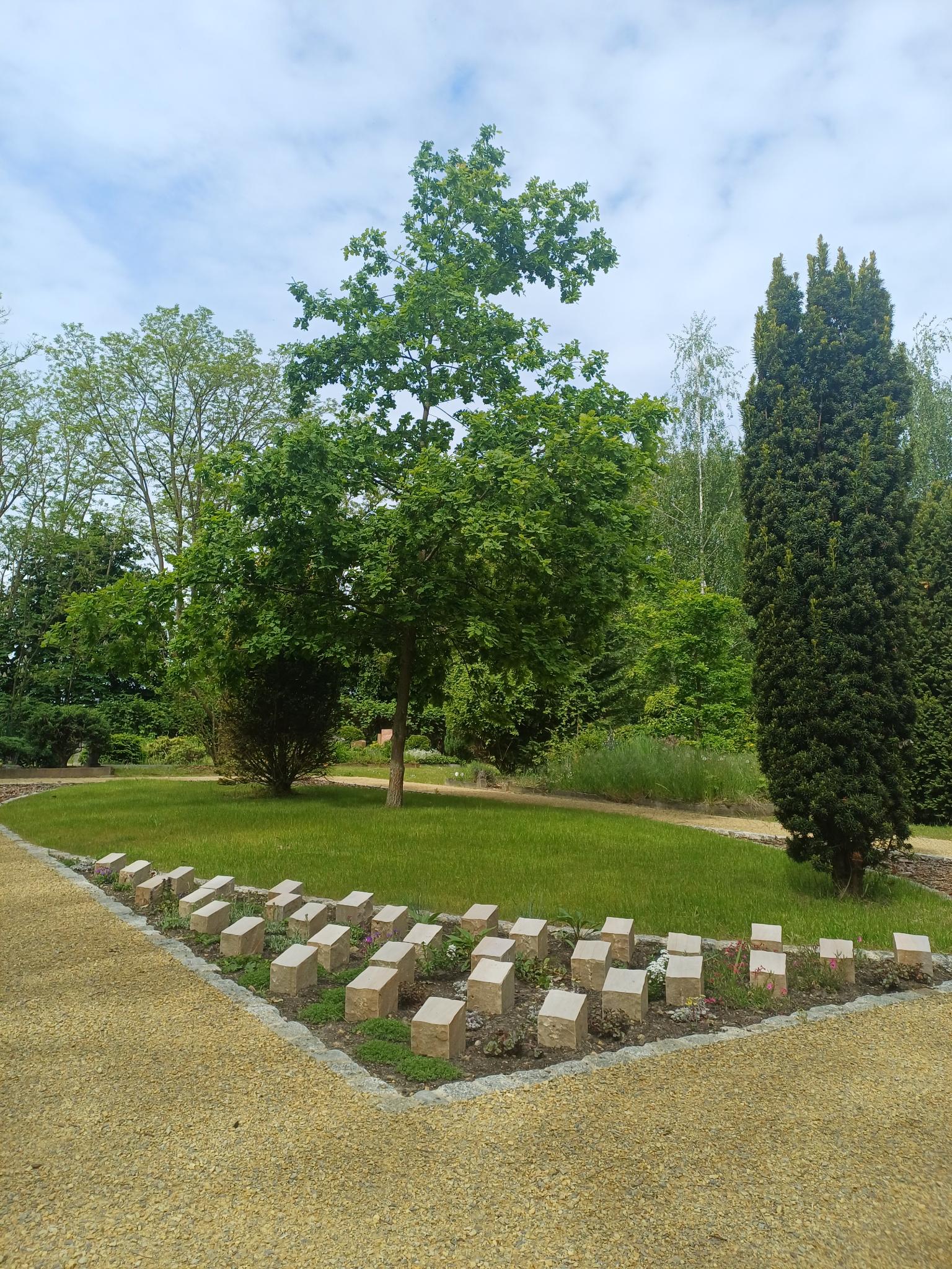 Bild einer Eiche mit umliegender Wiese und Stelen
